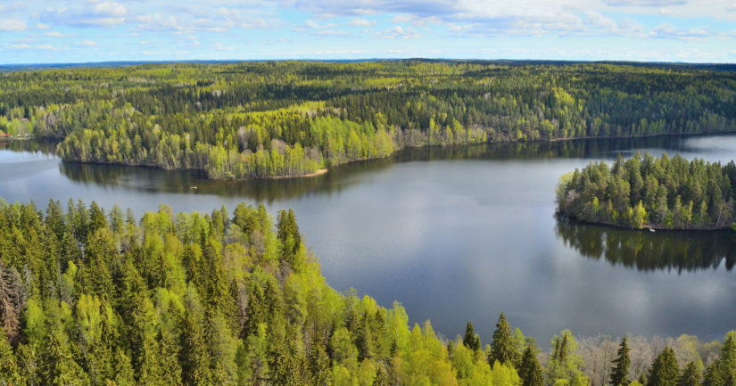 EU-parlamentti Hyväksyi Kiistellyn Luonnon Ennallistamisasetuksen ...